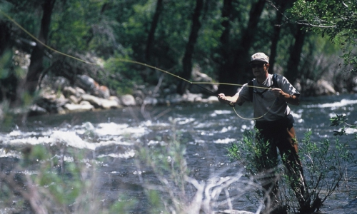 Winter Park Fishing
