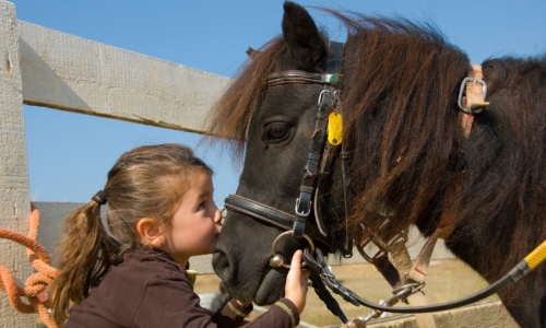 Winter Park Kids Horseback Riding