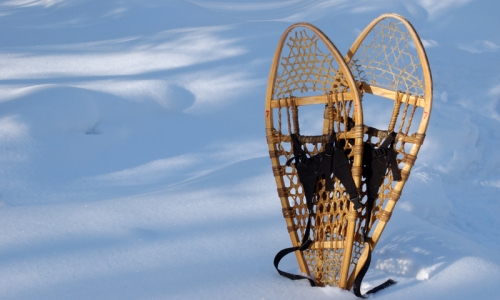 Winter Park Snowshoeing