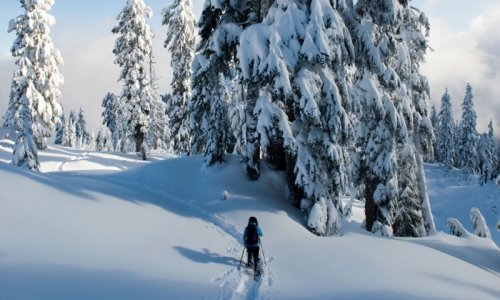 Winter Park Colorado Snowshoeing