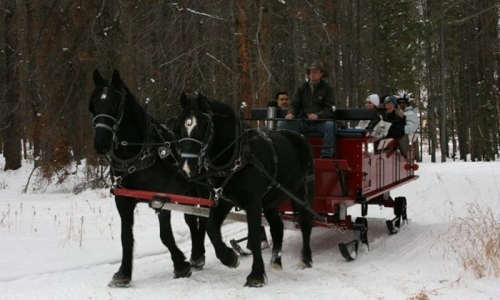 Winter Park Sleigh Ride
