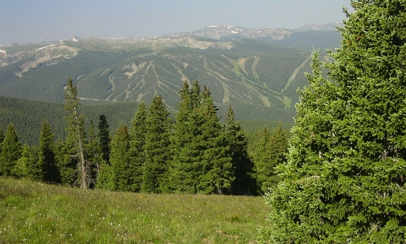 Winter Park Ski Area in Summer