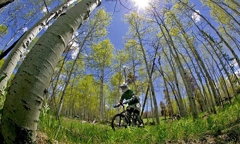 Biking at SolVista Bike Park