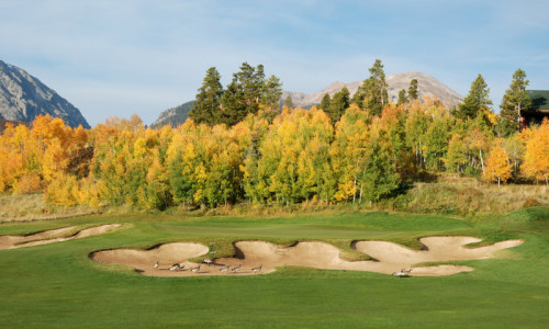 Golf Courses