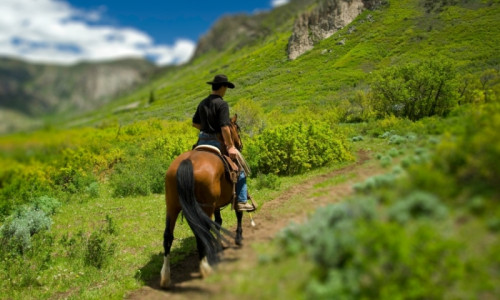 Horseback Riding