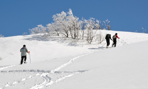 Snowshoeing